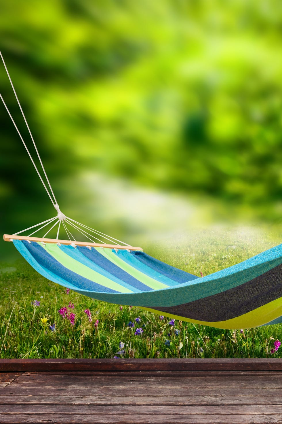 17. Hammock