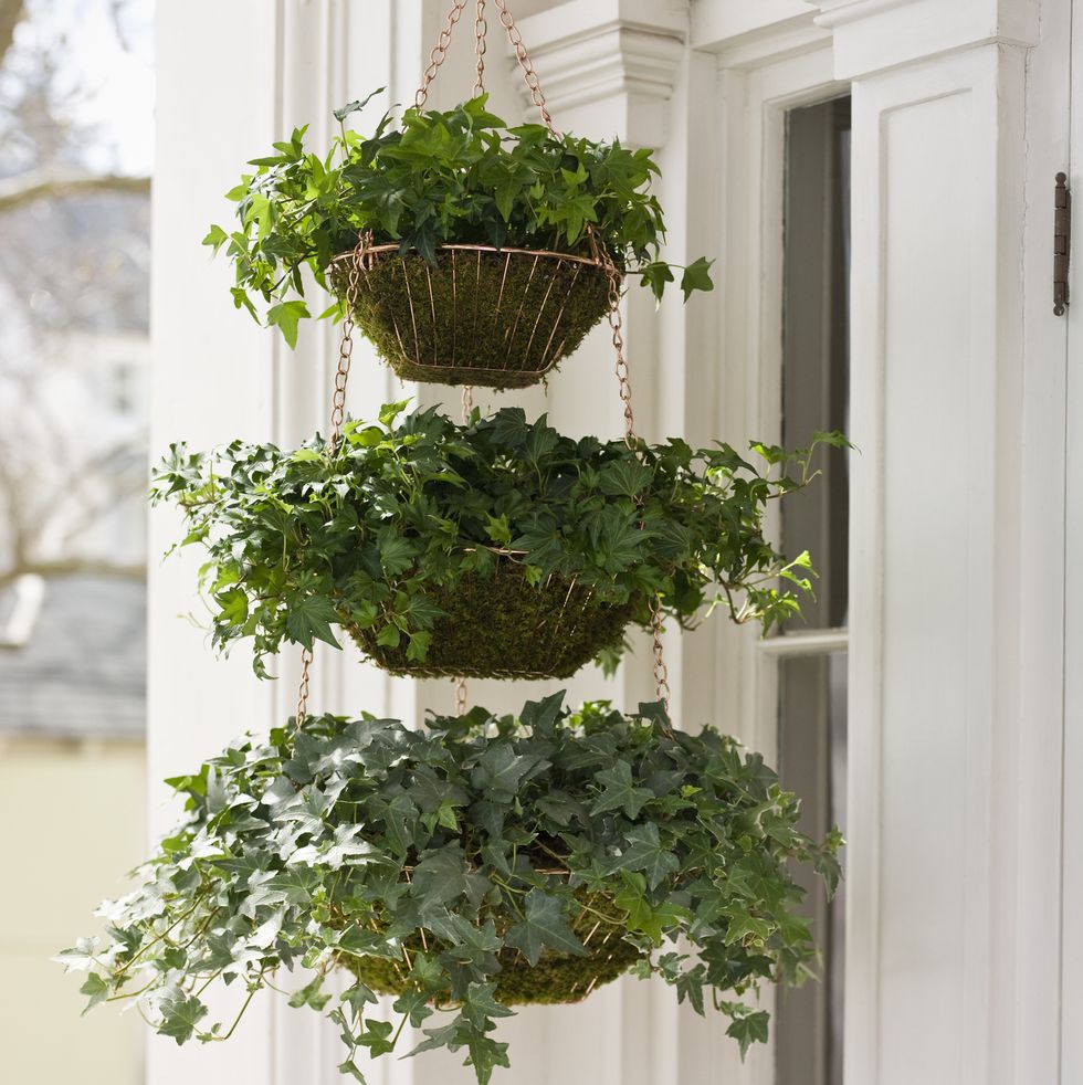 small garden ideas hanging baskets