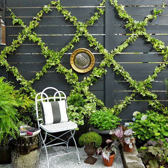 small garden ideas — lattice