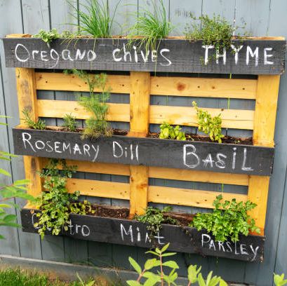 creative wood herb planter made of wooden pallets pallet hanging on the grey fence in a backyard garden work vegetable life pallet painted in black as interesting idea for plants rosemary basil