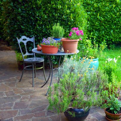 idyllic italian garden with wrought iron table and chair, on small patio, surrounded by pots with kitchen herbs and flowers, in the background laurel hedge