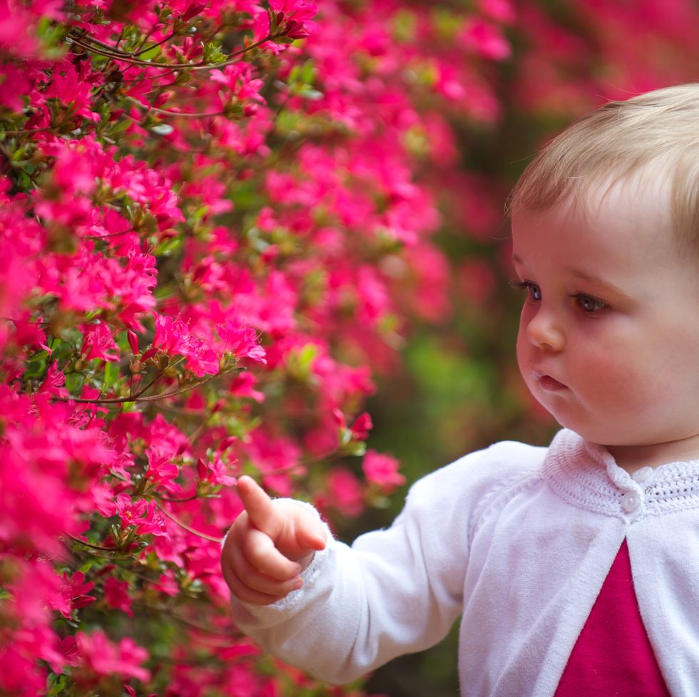 spring flower baby names azalea