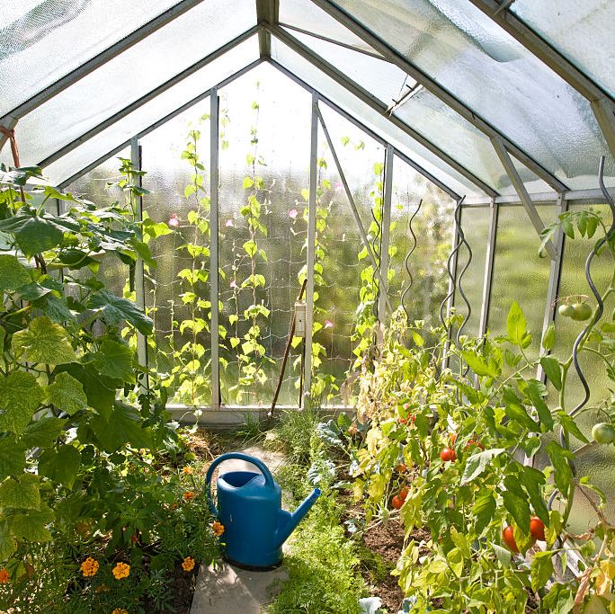 11 Essential Greenhouse Supplies to Get Started