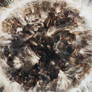 james griffith, origin of life, the radiant sun, 2024