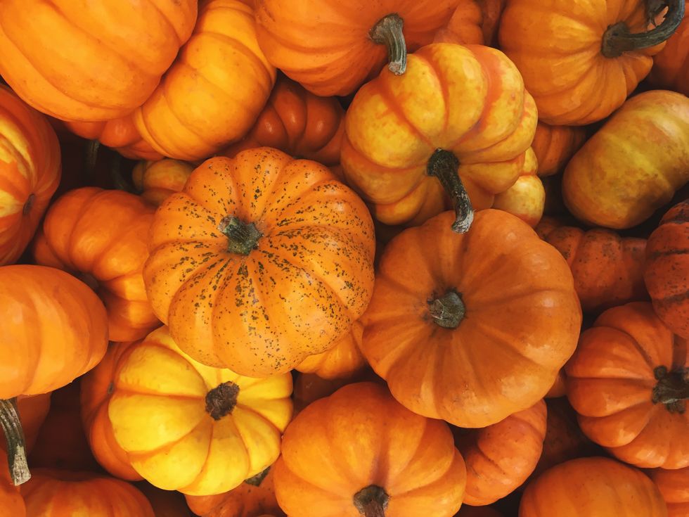 small pumpkins background