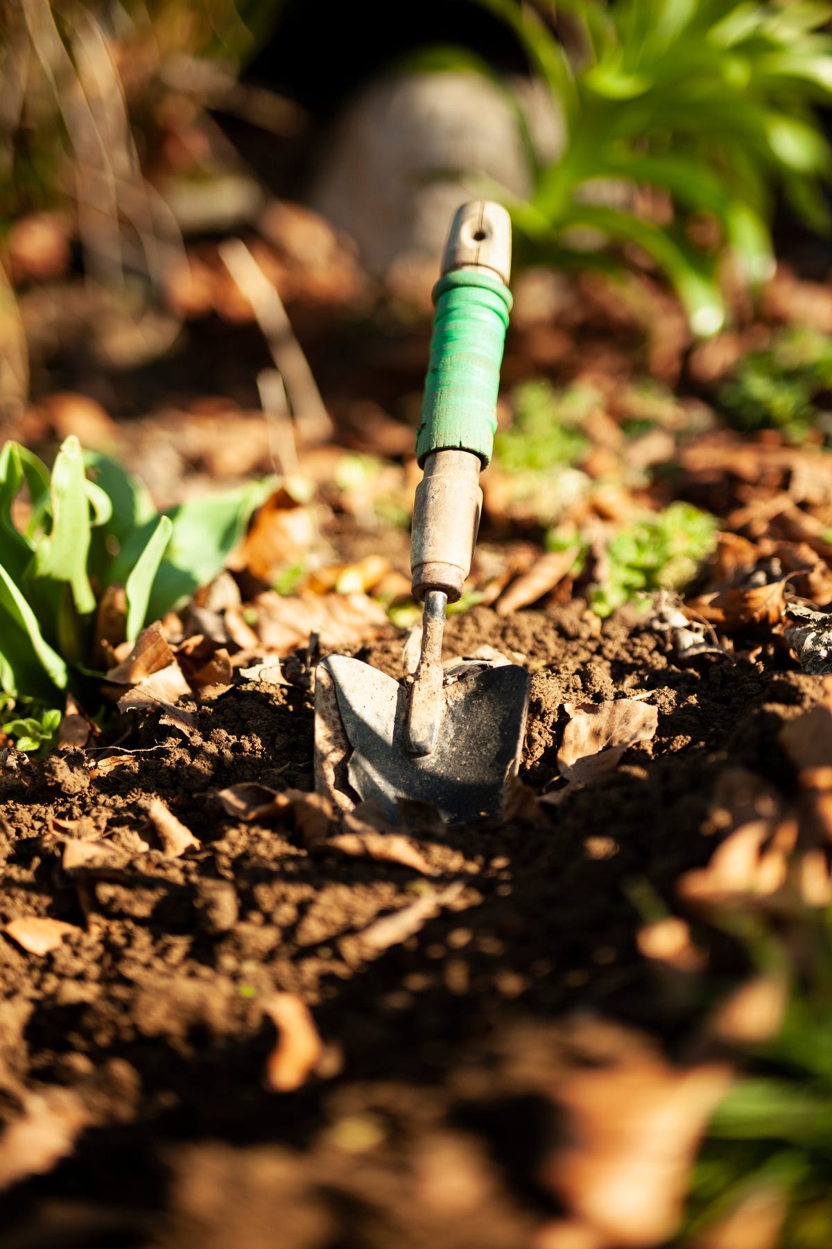 Juliet Sargeant On 3 Gardening Mistakes We Need To Stop