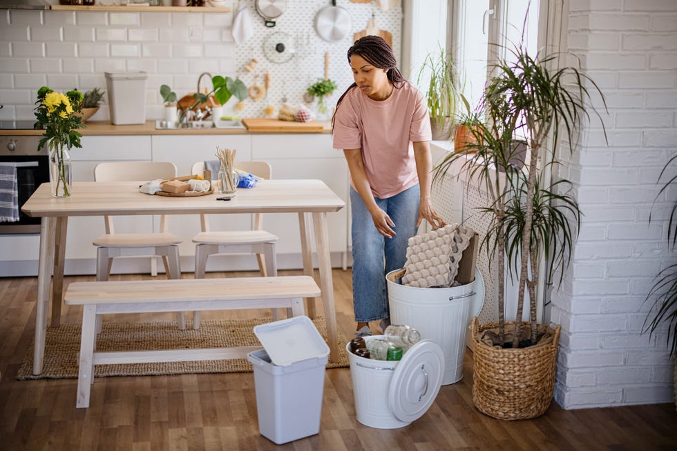 smelly kitchen bin