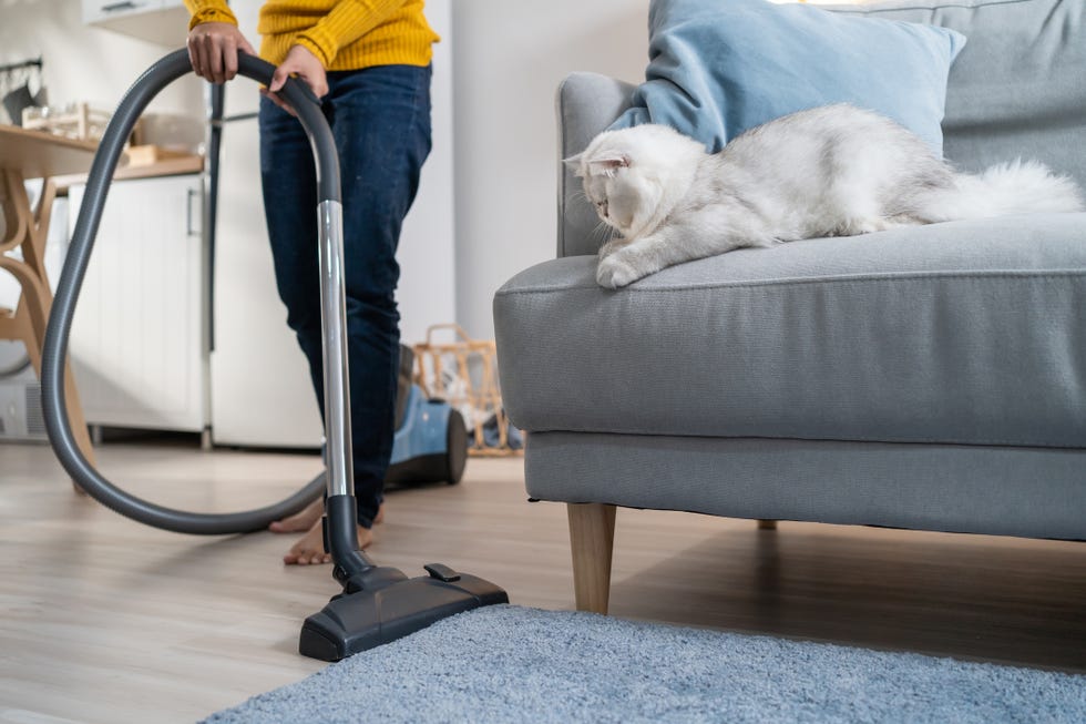 smelly vacuum