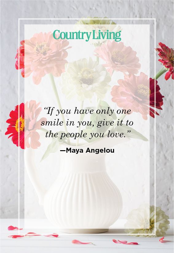 Cute Smile quote by Maya Angelou