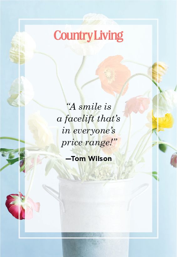 Cute Smile quote by Tom Wilson