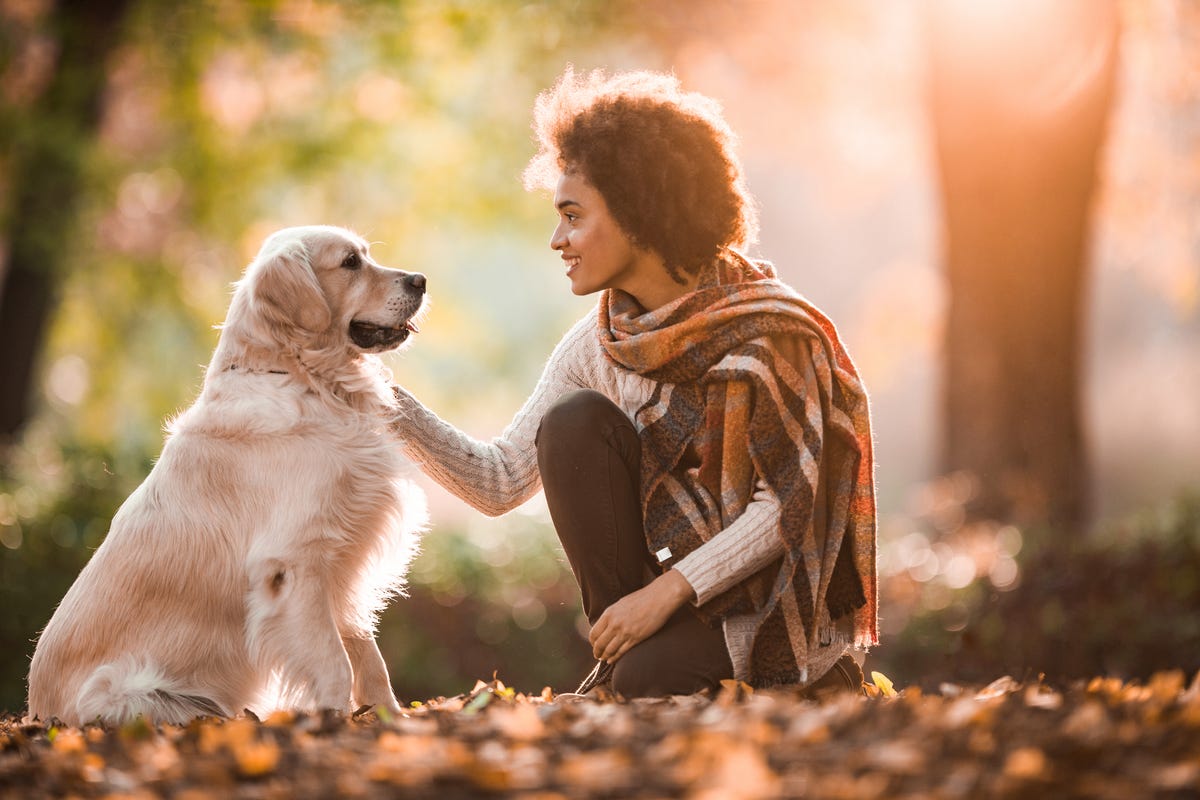 Women's dog store