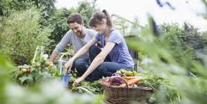 smiling couple gardening in vegetable patch