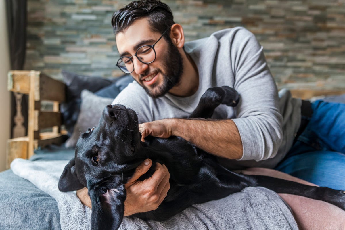 un perro puede tener una enfermedad mental