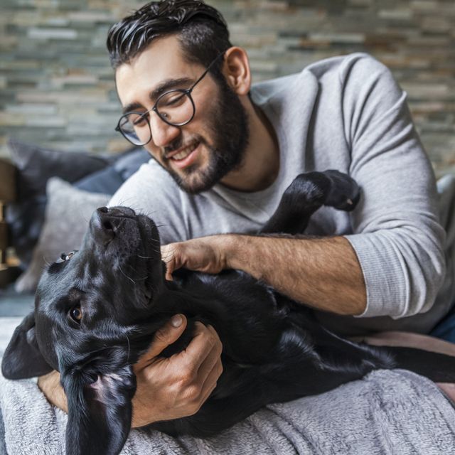 The 8 Best Pets For Your Mental Health, According to a Psychiatrist