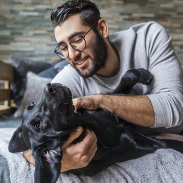 smiling man stroking his dog on the couch at home