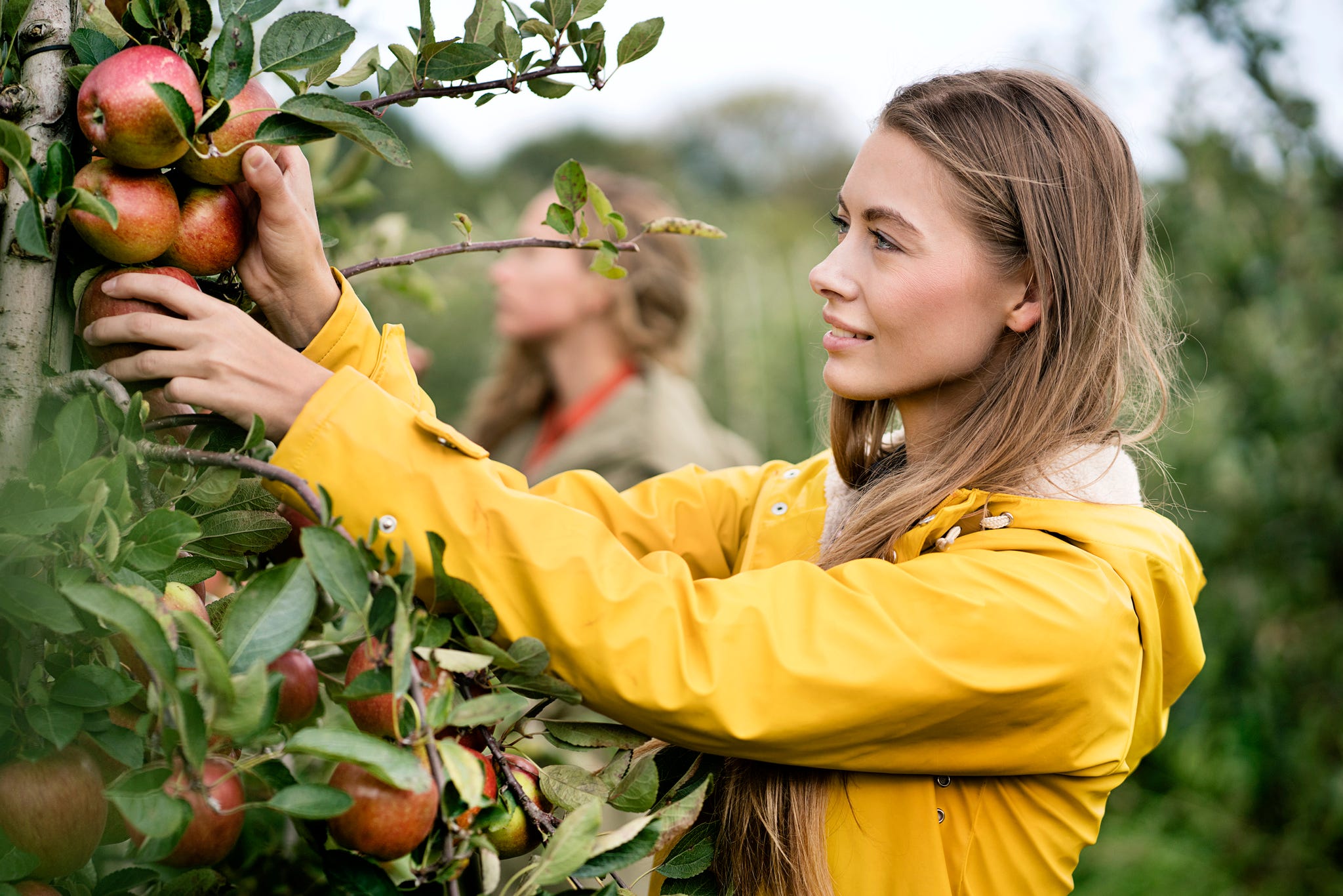 Cos'è il WWofing, il trend che ti fa viaggiare lavorando in fattoria