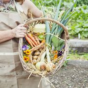 smiling woman holding basket of fresh vegetables in community garden
