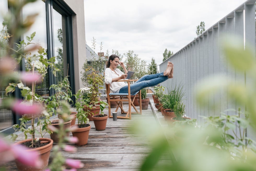 my chelsea garden competition