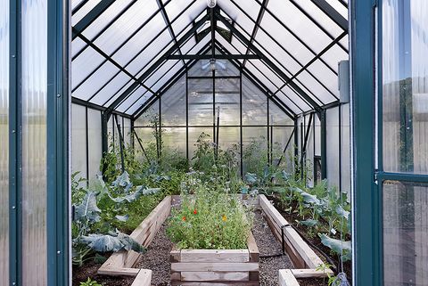 Greenhouse, Daylighting, Botany, Building, Garden, Botanical garden, Orangery, Window, House, Architecture, 