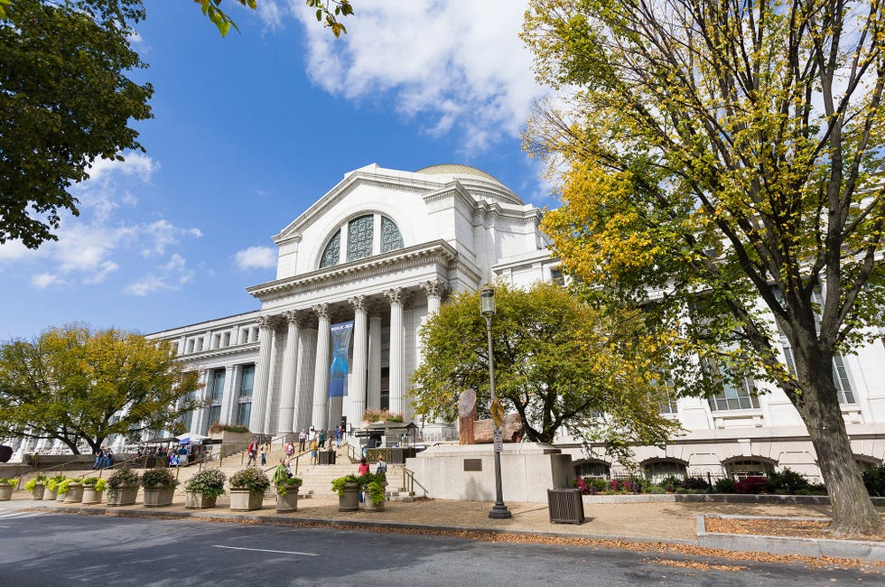 smithsonian museum of natural history