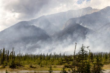 chetamon mountain wildfire burning in alberta, canada causes power failure to nearby town of jasper