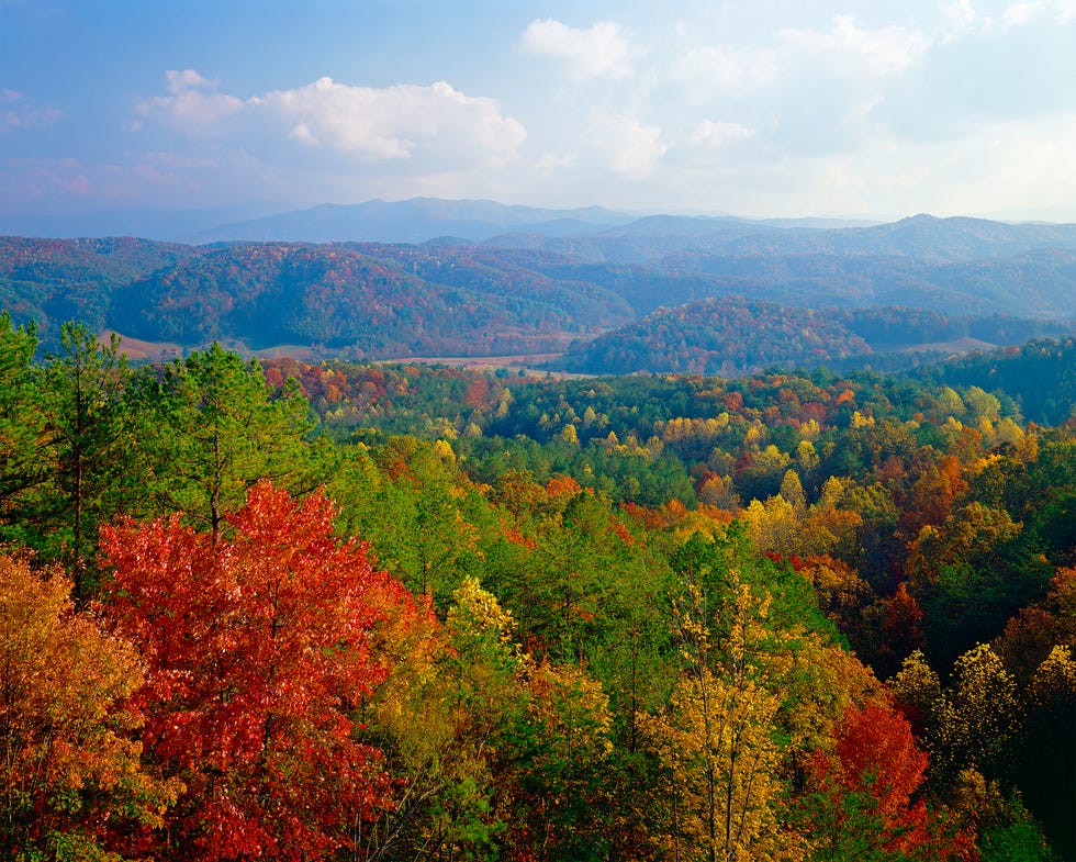 smoky mountains autumn