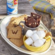 toffee s’more ingredients on a plate including branded crackers marshmallows and chocolate