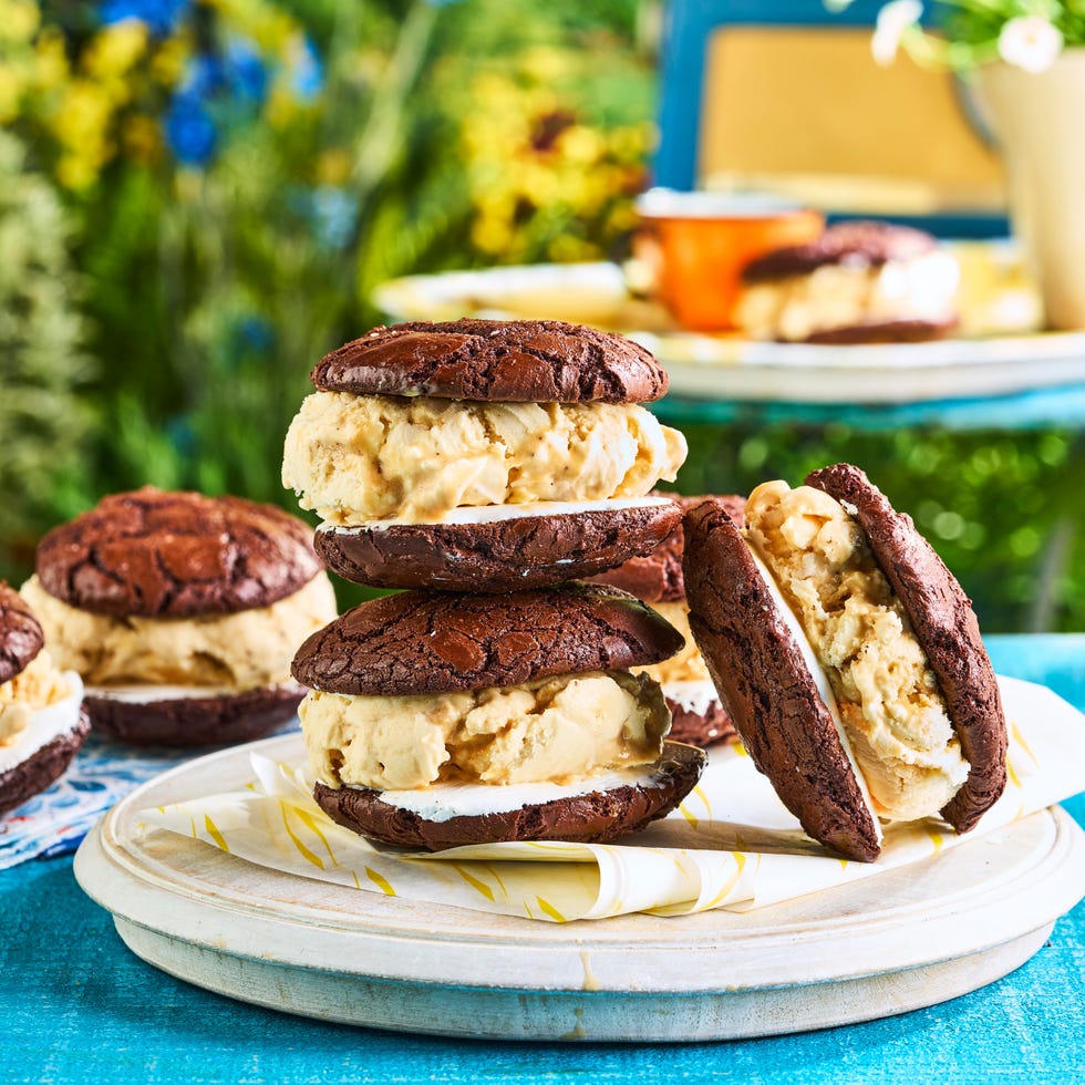 s’mores ice cream sandwiches