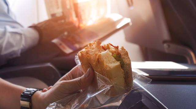 sandwich on a plane