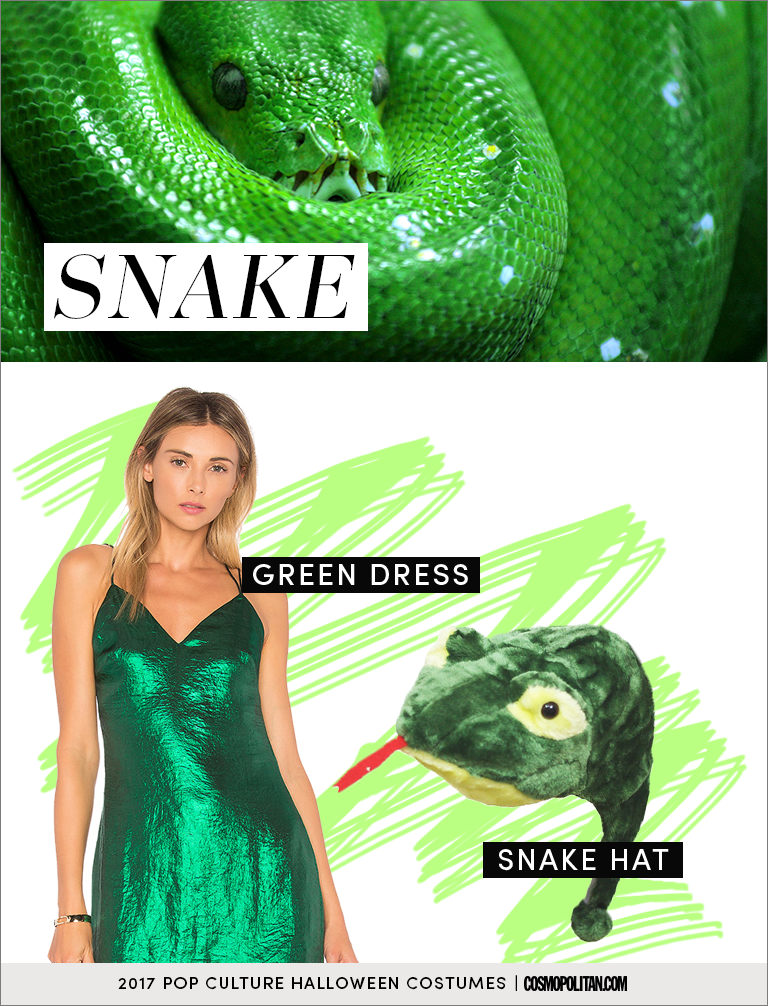 Green, Reptile, Scaled reptile, Snake, Emerald, 