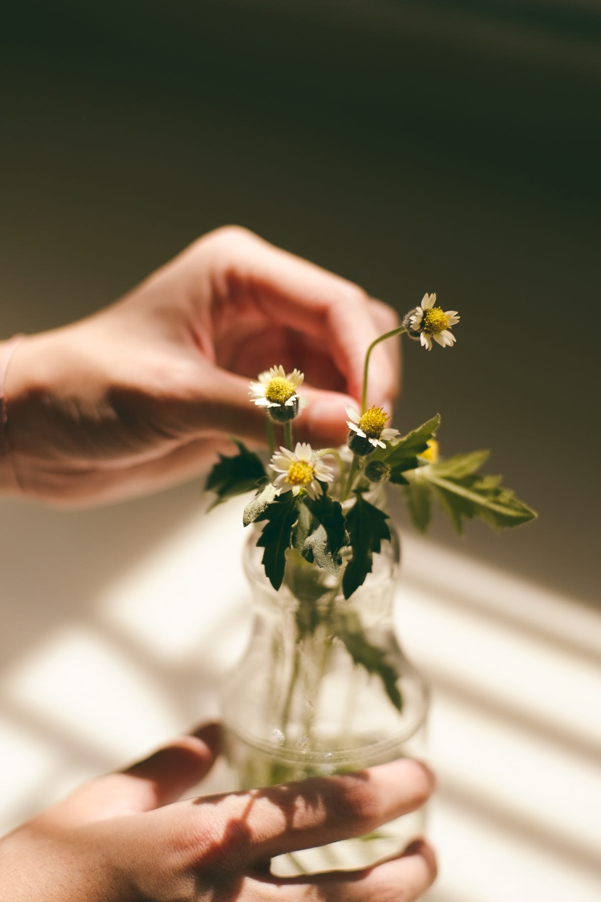 Profumo per ambiente Fiori di Lillà -Antica Farmacia