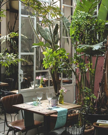 a table with glasses and plants on it