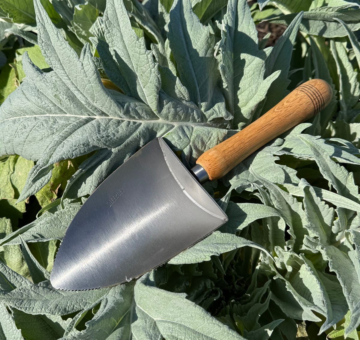 Chelsea Flower Show crowns the most sustainable garden product of the year