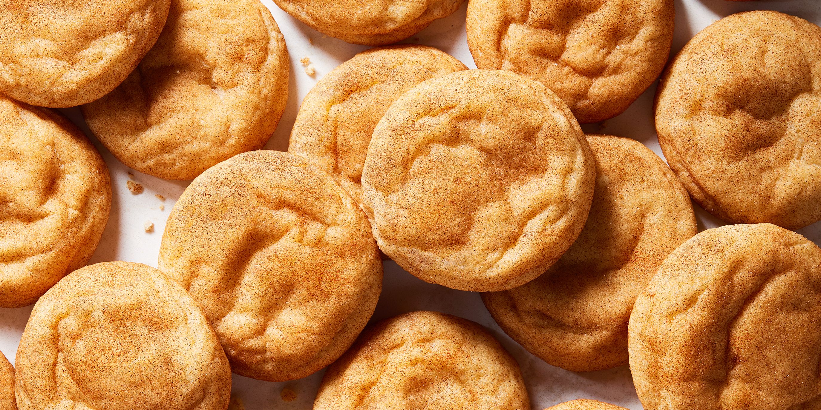 Holiday Cookie Recipe: Dehydrator Snickerdoodles