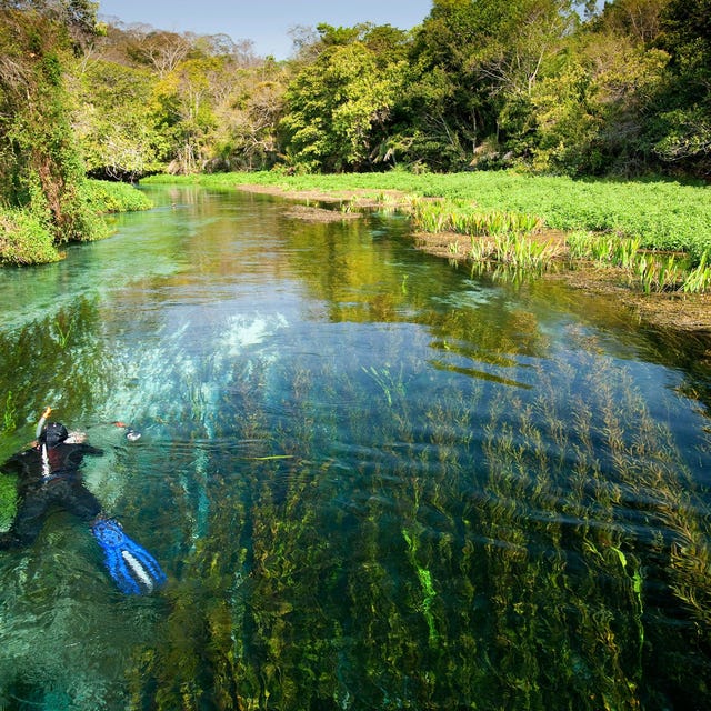http://www.nationalgeographic.com/content/dam/travel/2017-digital/best-summer-trips/snorkeling-bonito-brazil.jpg Zak al snorkelend de Rio Sucuri af om een grote diversiteit aan vissen van dichtbij te bekijken