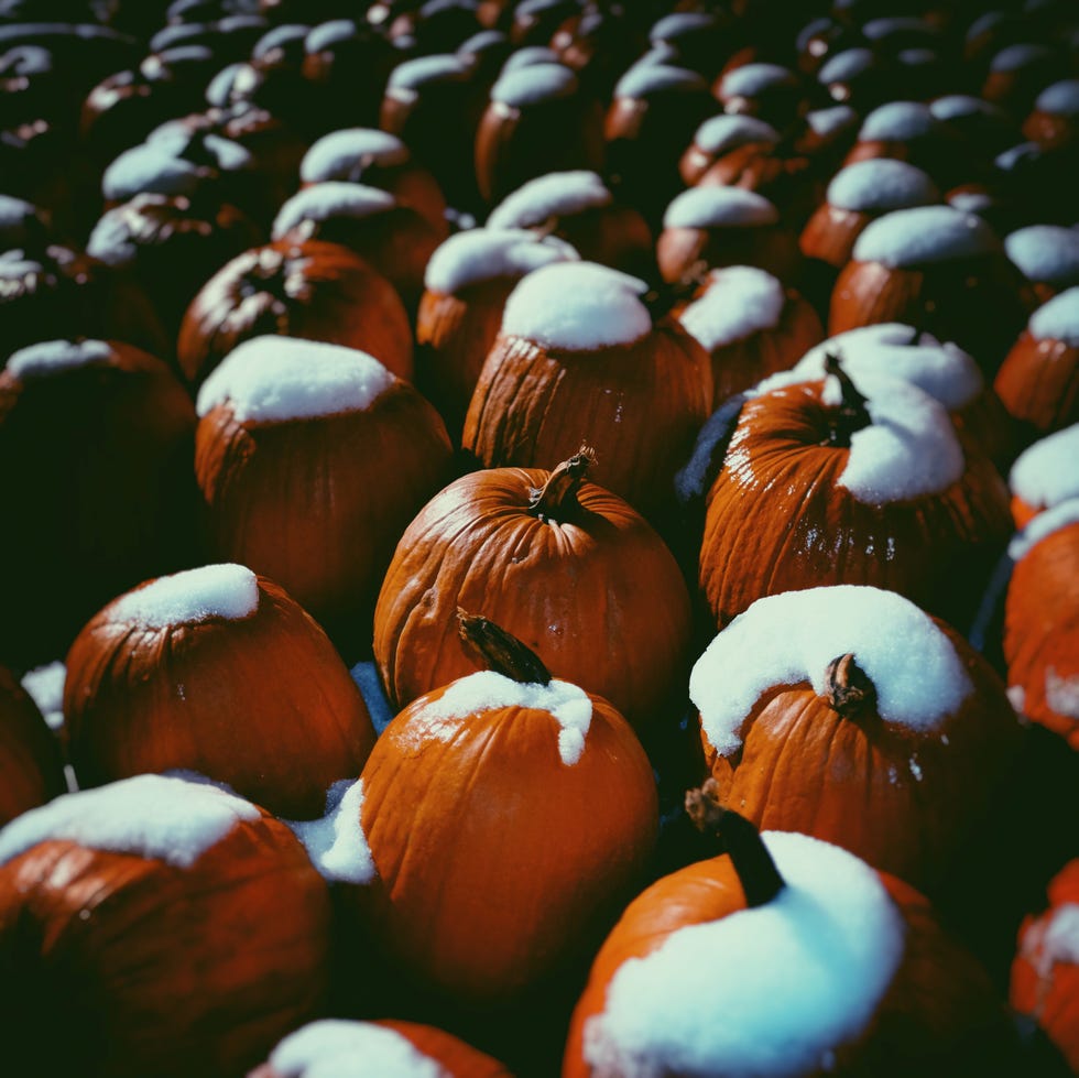 Snow Capped Halloween Pumpkins