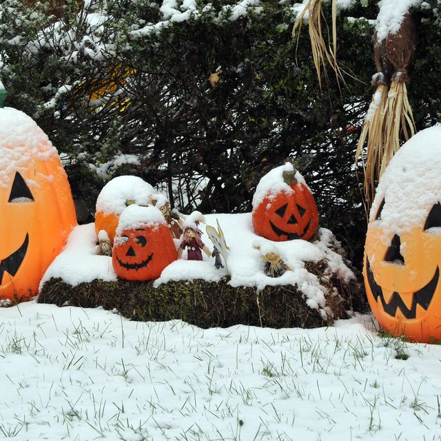 A snow covered Halloween decoration is s