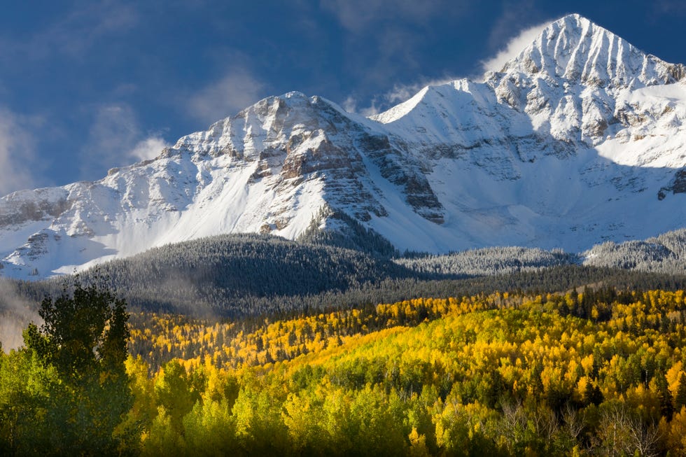 scenic snow capped mountain vista with aspens