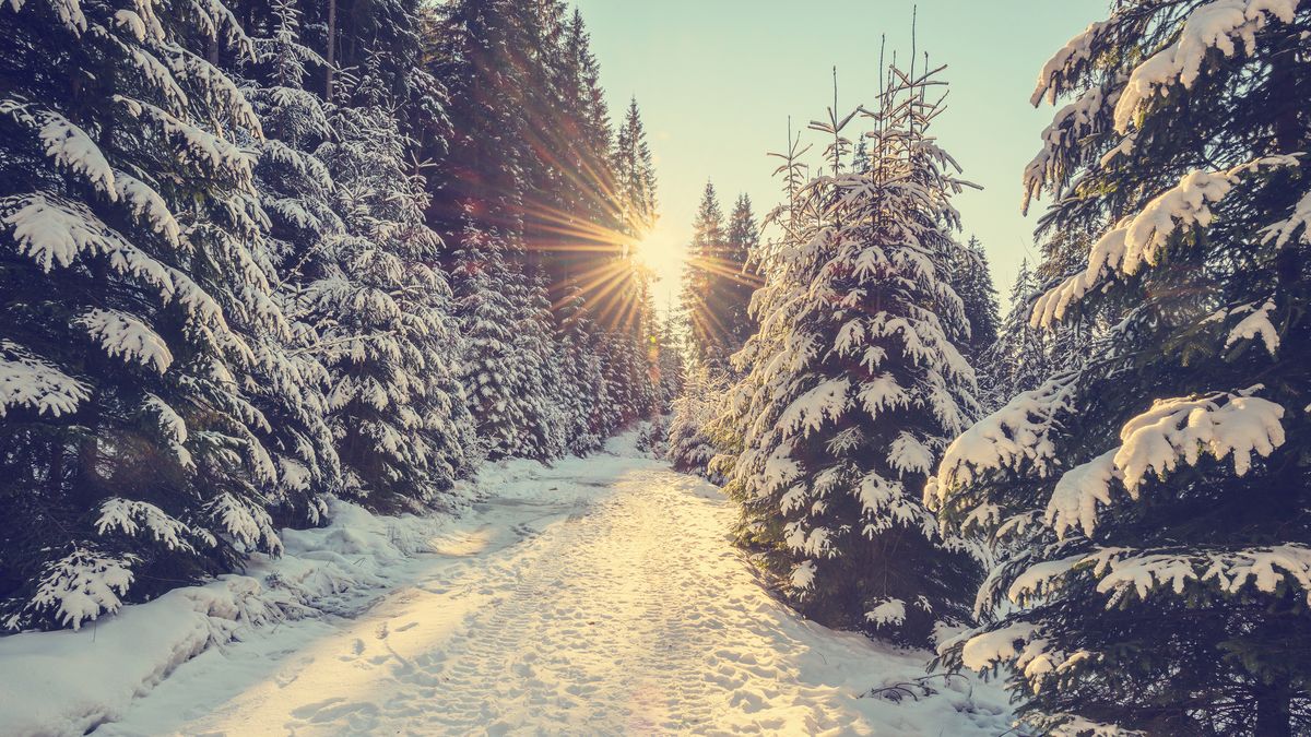 100 Best Winter Instagram Captions 2022 - Cold Weather Captions