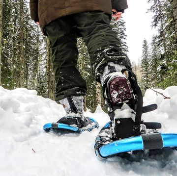 person using show shoes on a snowy trail