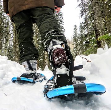 person using show shoes on a snowy trail