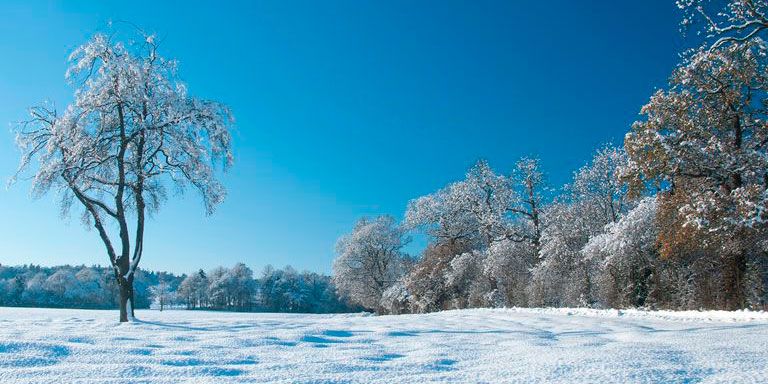 Winter, Snow, Sky, Natural landscape, Nature, Tree, Frost, Blue, Freezing, Branch, 