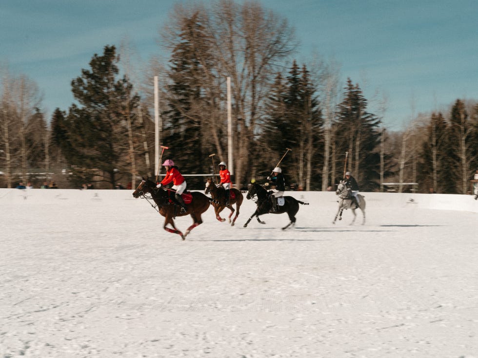 snow polo