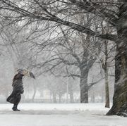 Snowstorm on Boston Common