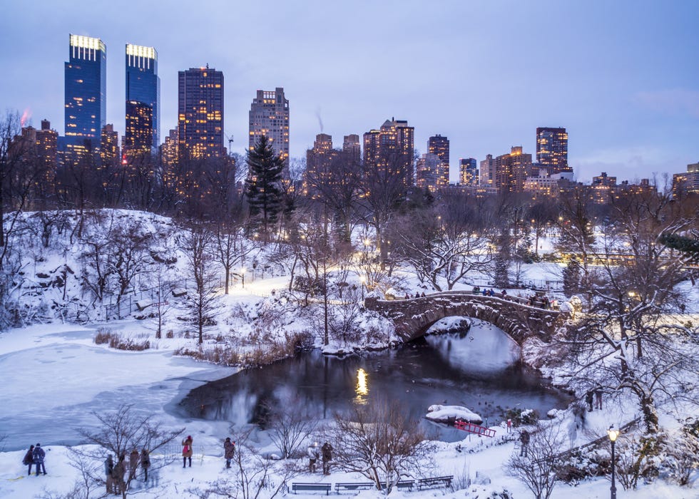 snowy central park pond new york