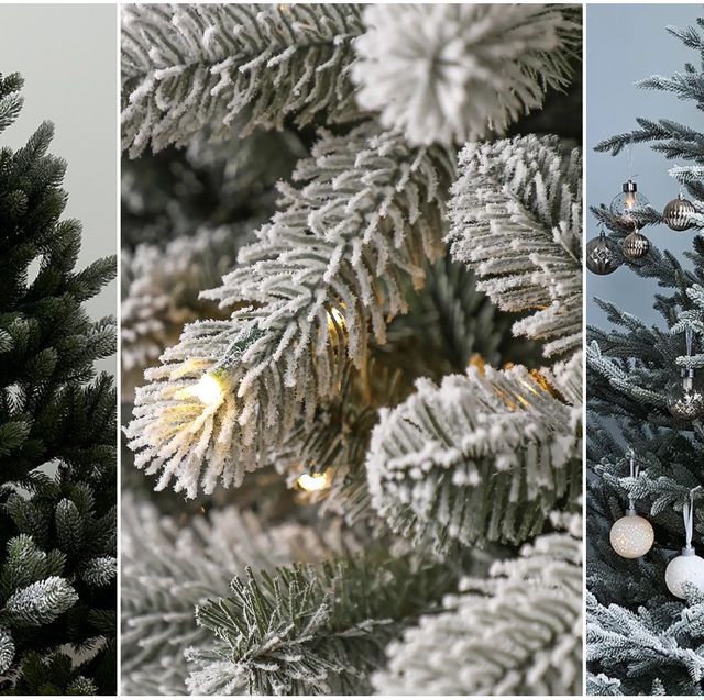 Snow on Trees: Pretty or Problematic?