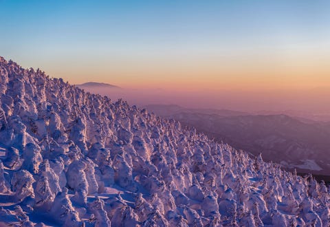 https://www.nationalgeographic.com/content/dam/travel/rights-exempt/2018-travel-photographer-of-the-year/magical-mountains/snowy-mountain-yamagata-japan.jpg Als gevolg van de harde wind en de hoge luchtvochtigheid ontstaan in februari in het Japanse Yamagata deze ijsmonsters Op deze stralende dag werden de ijsmonsters in de avondschemering prachtig beschenen