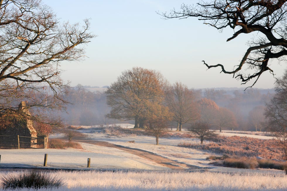 When Is The Shortest Day Of The Year? Winter Solstice 2024