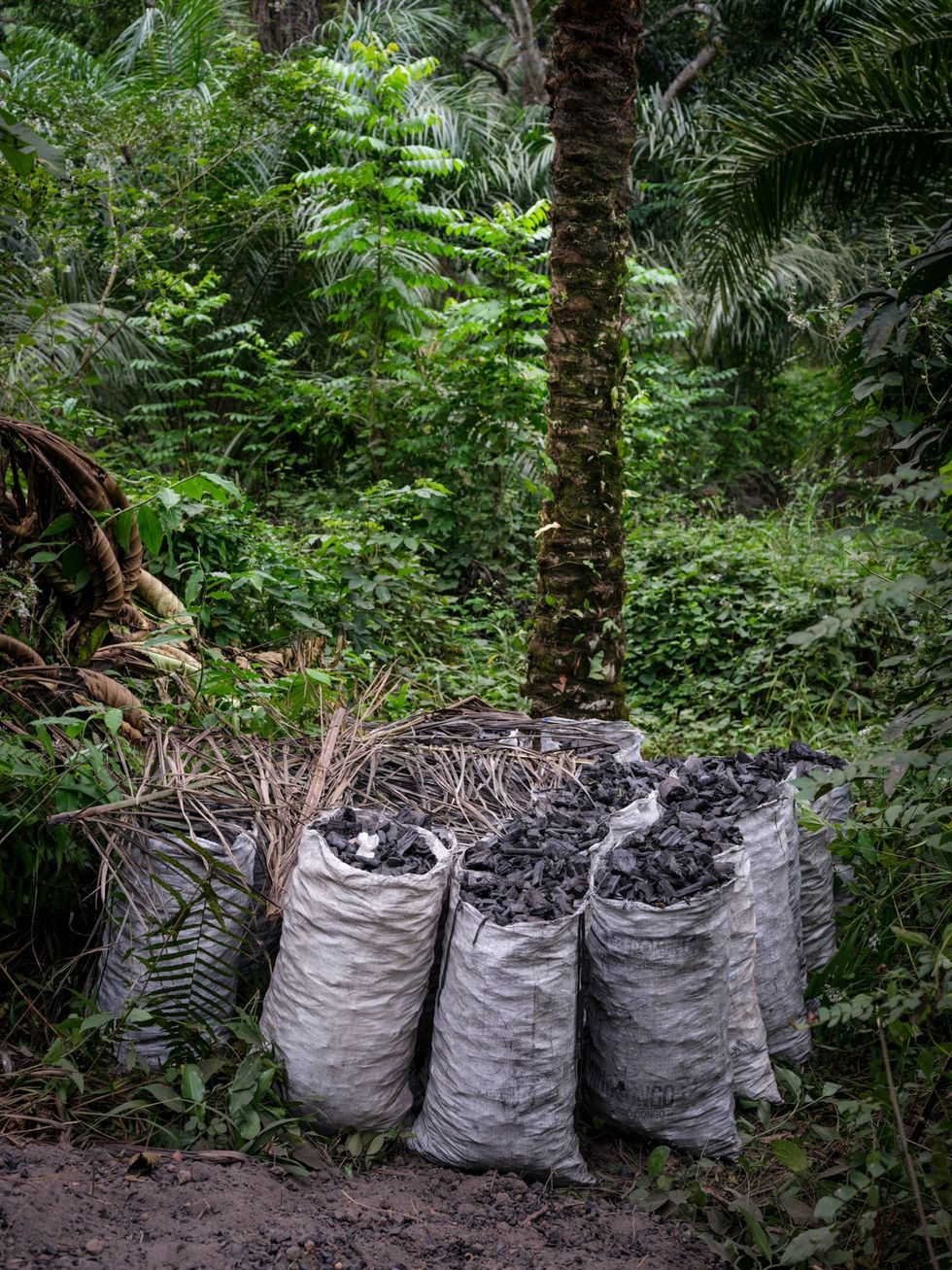 Papa Lukombo Kop gebruikt een traditionele weinig efficinte kiln om houtskool te maken van blokken hout met behulp van hitte Een belangrijke oorzaak van ontbossing in de DRC is de nietduurzame exploitatie van het regenwoud om te voldoen aan de groeiende vraag naar houtskool