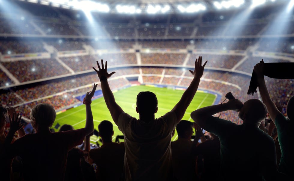 soccer fans at stadium